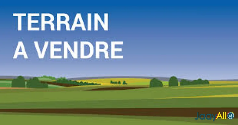 Vente de Terrains à Vendre à Rufisque dès 210000000 FCFA - Immobilier