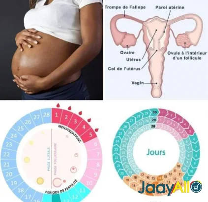 Vente de Parfums & produits cosmétiques à Dakar dès 450000 FCFA - Mode & beauté